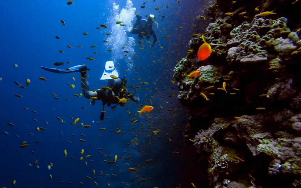 Diving into the Depths: The Wonders of Underwater Exploration